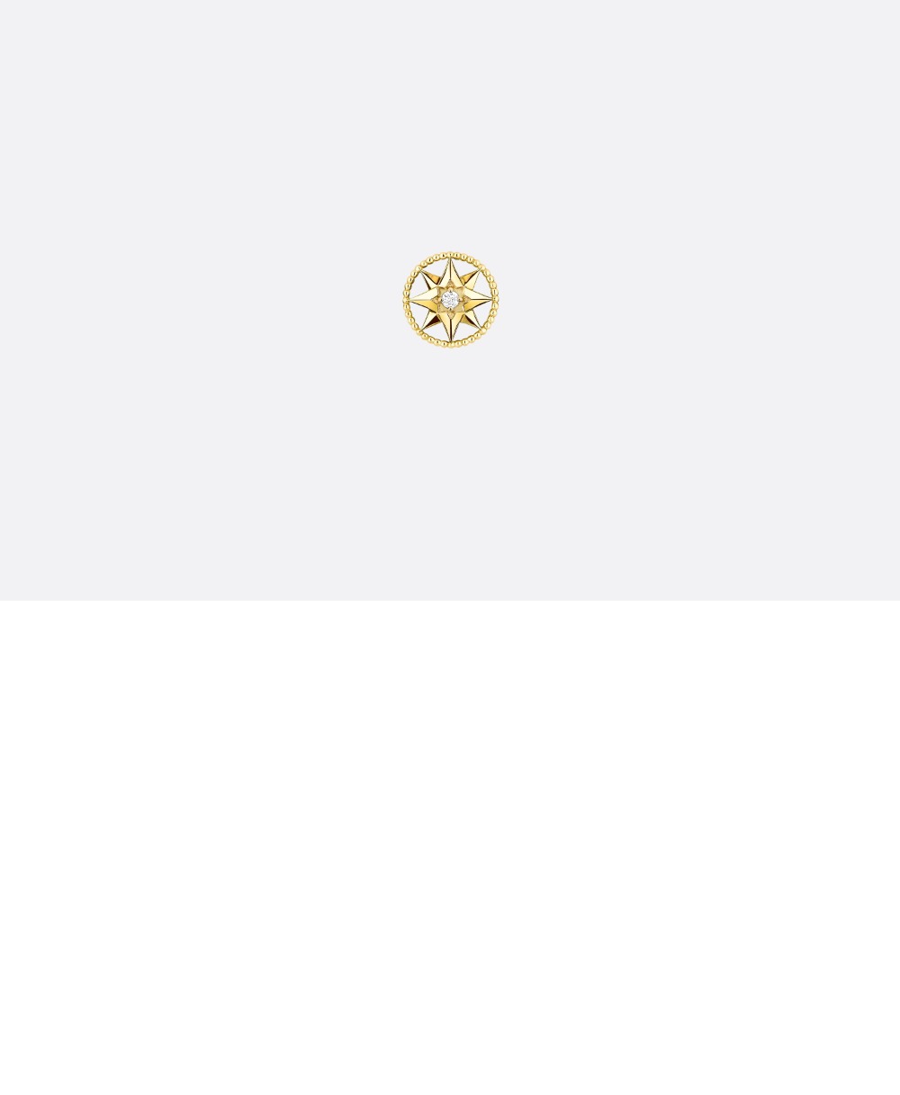 미러급레플리카사이트 | 명품레플리카 전문 쇼핑몰  | 퍼스트원 - Rose des Vents 스몰 귀걸이 JRDV9 > 디올