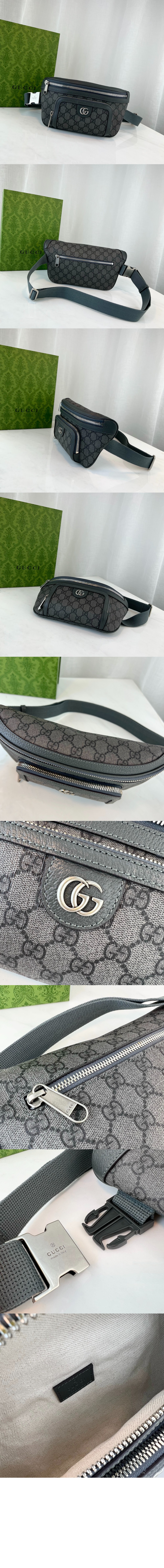 미러급레플리카사이트 | 명품레플리카 전문 쇼핑몰  | 퍼스트원 - 오피디아 벨트백 733868 > 구찌