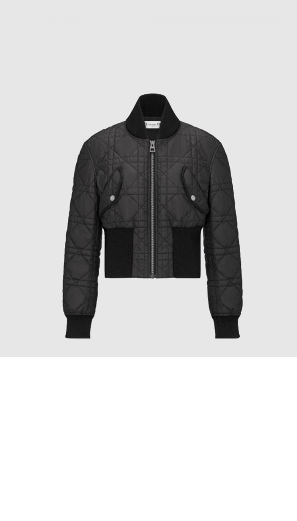 미러급레플리카사이트 | 명품레플리카 전문 쇼핑몰  | 퍼스트원 - 로고 쇼트 패딩 > 디올