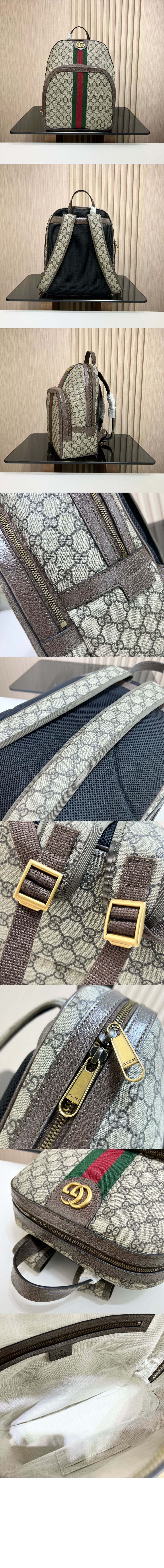 미러급레플리카사이트 | 명품레플리카 전문 쇼핑몰  | 퍼스트원 - 오피디아 GG 미듐 백팩 547967 > 구찌