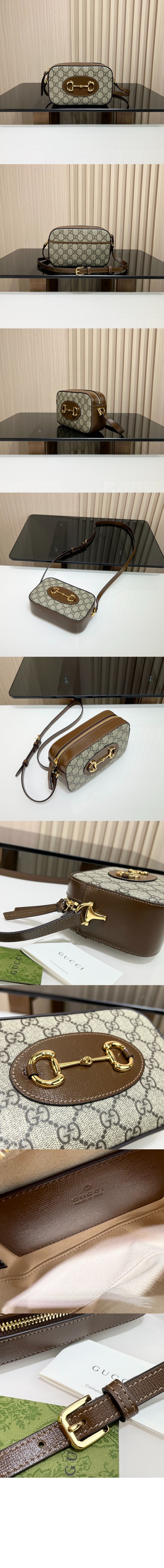 미러급레플리카사이트 | 명품레플리카 전문 쇼핑몰  | 퍼스트원 - 홀스빗 1955 스몰 숄더백 760196 > 구찌