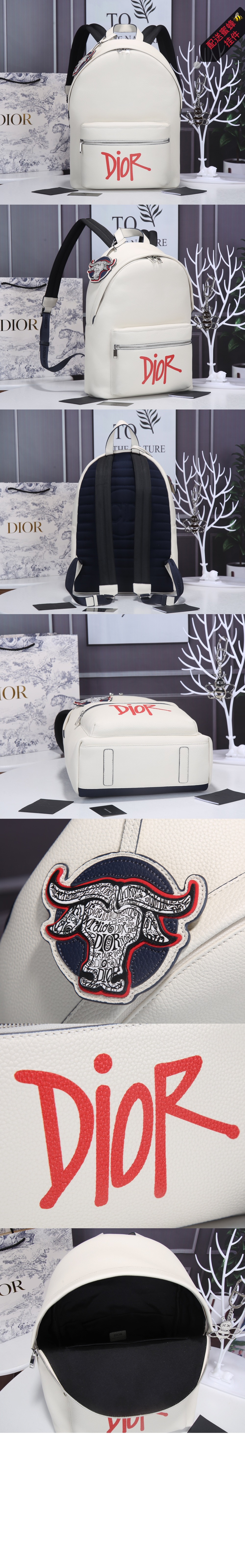 미러급레플리카사이트 | 명품레플리카 전문 쇼핑몰  | 퍼스트원 - 라이더 백팩 1ESBA > 디올