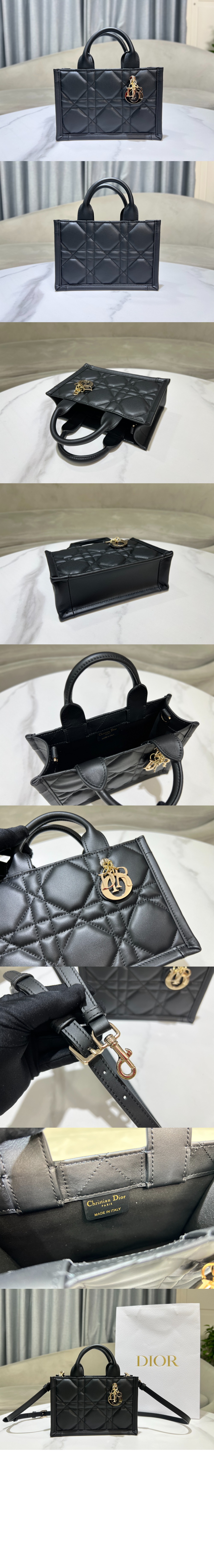 미러급레플리카사이트 | 명품레플리카 전문 쇼핑몰  | 퍼스트원 - 북 토트 미니 숄더백 S5573 > 디올