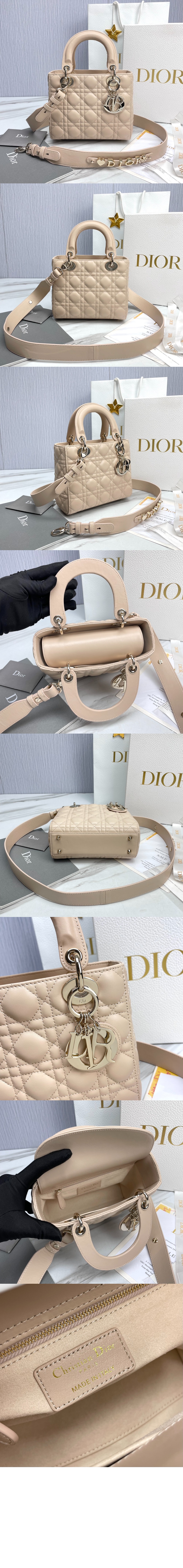미러급레플리카사이트 | 명품레플리카 전문 쇼핑몰  | 퍼스트원 - 레이디백 ABC M0538 > 디올