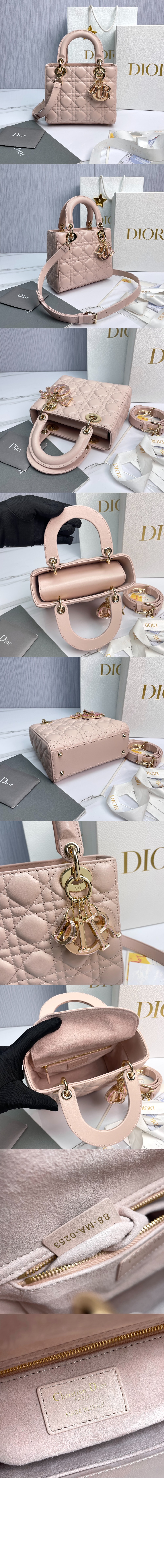 미러급레플리카사이트 | 명품레플리카 전문 쇼핑몰  | 퍼스트원 - 레이디백 램스킨 스몰 M0531 > 디올