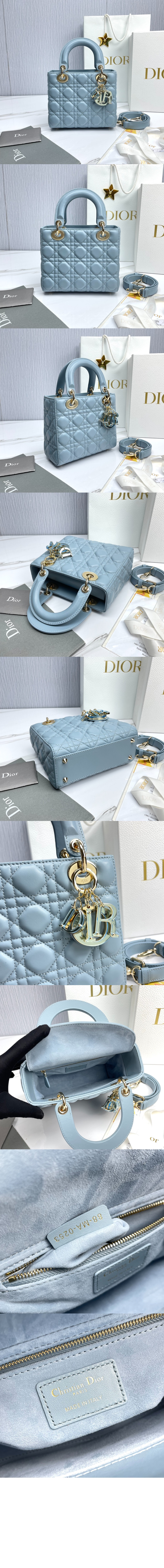미러급레플리카사이트 | 명품레플리카 전문 쇼핑몰  | 퍼스트원 - 레이디백 램스킨 스몰 M0531 > 디올