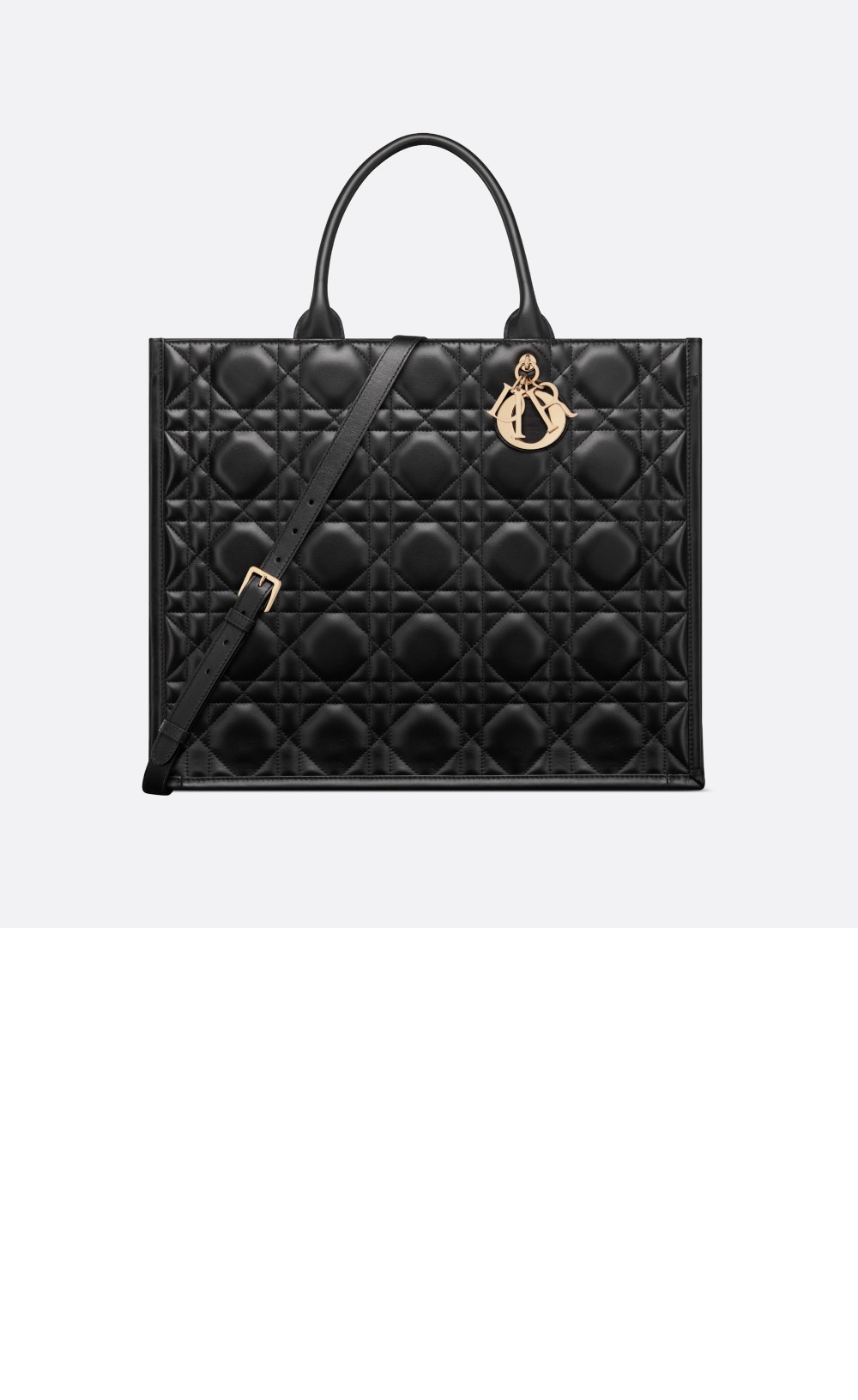 미러급레플리카사이트 | 명품레플리카 전문 쇼핑몰  | 퍼스트원 - 북 토트백 라지 M1323 > 디올