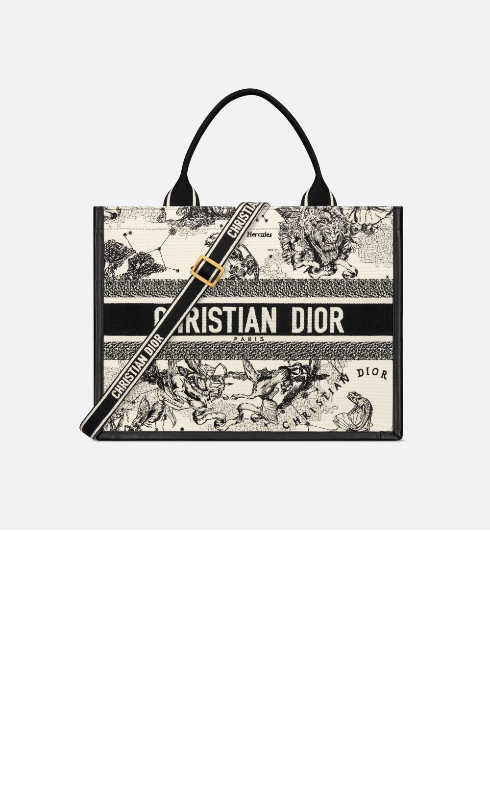 미러급레플리카사이트 | 명품레플리카 전문 쇼핑몰  | 퍼스트원 - 북 토트백 미듐 M1324 > 디올