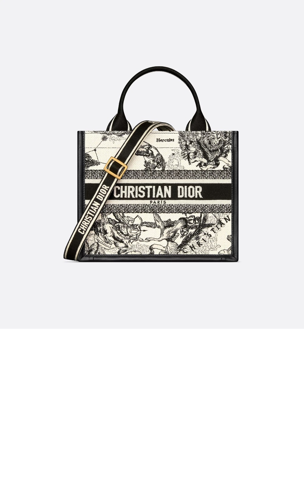 미러급레플리카사이트 | 명품레플리카 전문 쇼핑몰  | 퍼스트원 - 레이디 까나쥬 북토트백 스몰 M1325 > 디올