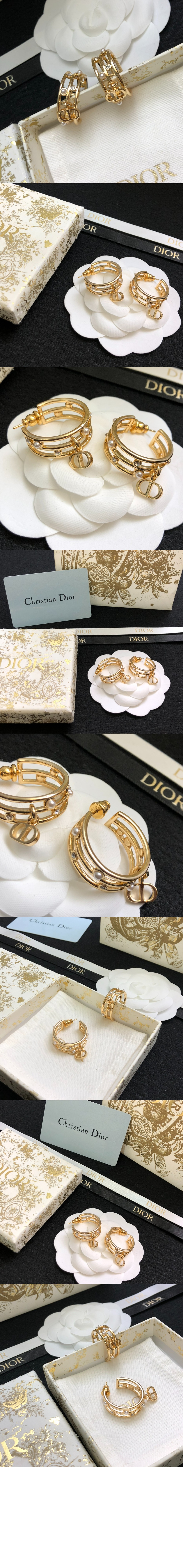 미러급레플리카사이트 | 명품레플리카 전문 쇼핑몰  | 퍼스트원 - D-디백스테이지 귀걸이 E3177 > 디올