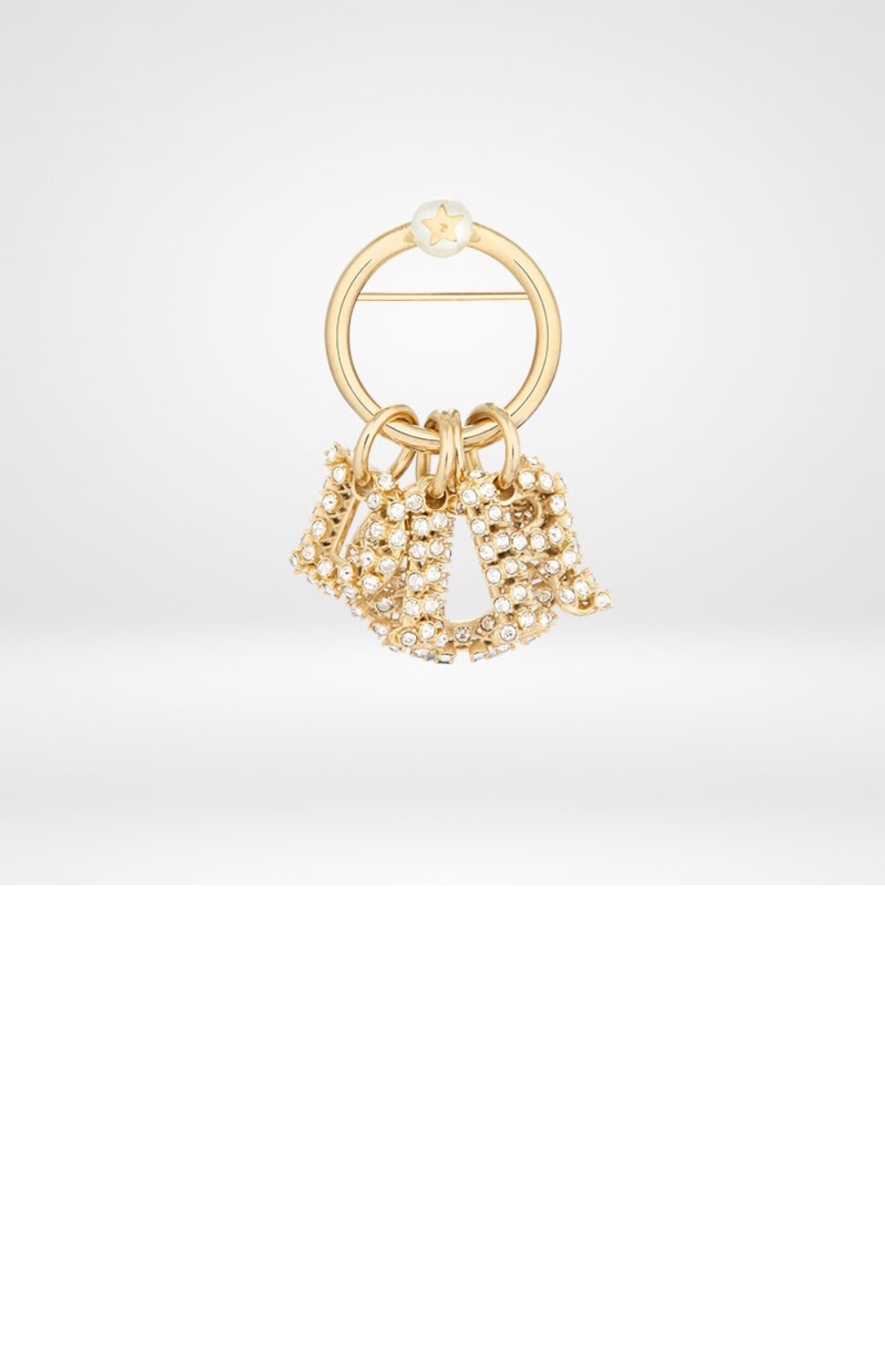 미러급레플리카사이트 | 명품레플리카 전문 쇼핑몰  | 퍼스트원 - 브로치 V1059 > 디올