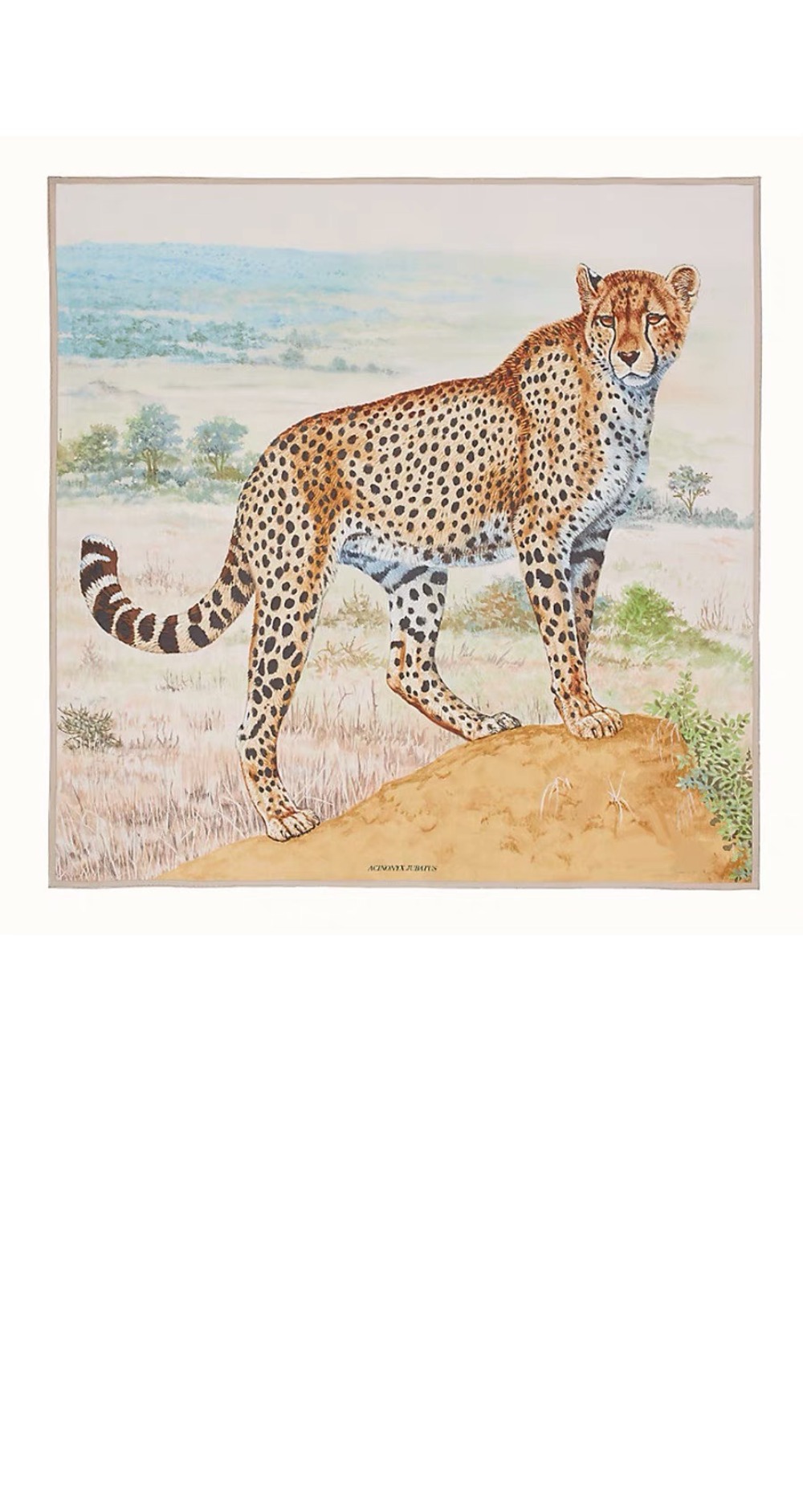 미러급레플리카사이트 | 명품레플리카 전문 쇼핑몰  | 퍼스트원 - Cheetah 숄140 > 에르메스