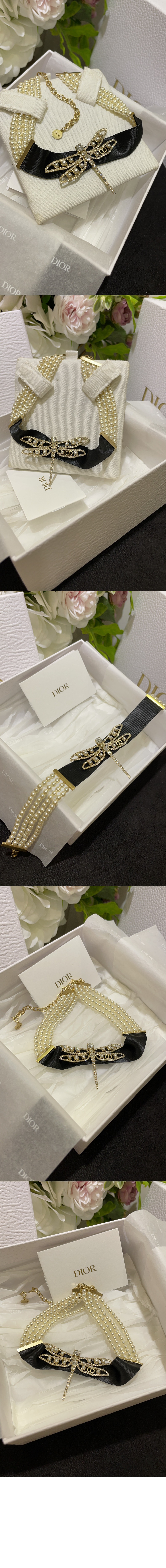 미러급레플리카사이트 | 명품레플리카 전문 쇼핑몰  | 퍼스트원 - 나이트 허바리움 목걸이 N2831 > 디올