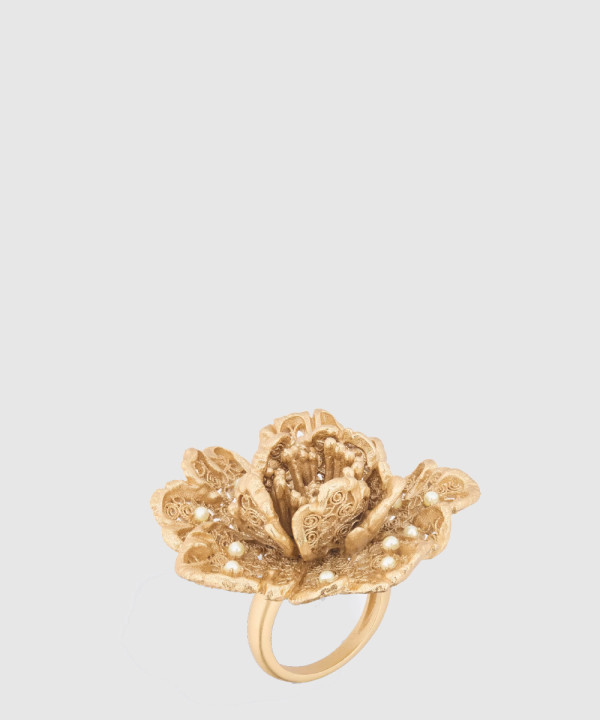 Jardin de  반지 R2595